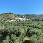 Casa Uliveto דירה *