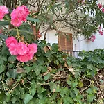 Casa Uliveto Appartement