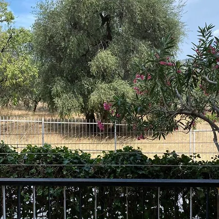 Casa Uliveto Lägenhet Mattinata