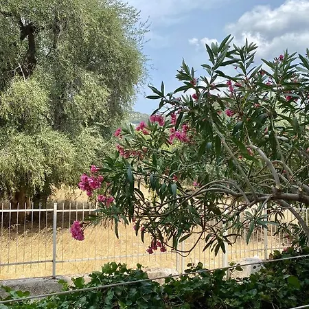 Lägenhet Casa Uliveto Mattinata