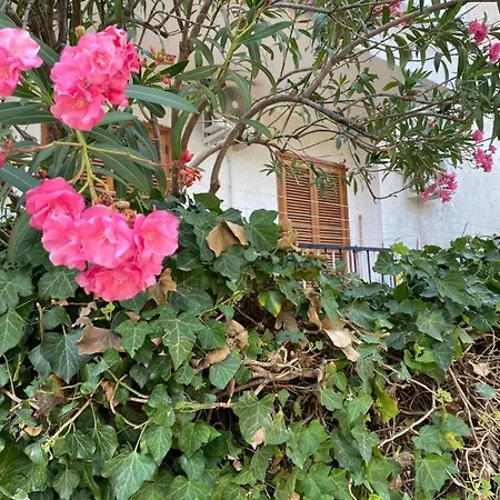 Casa Uliveto Lägenhet