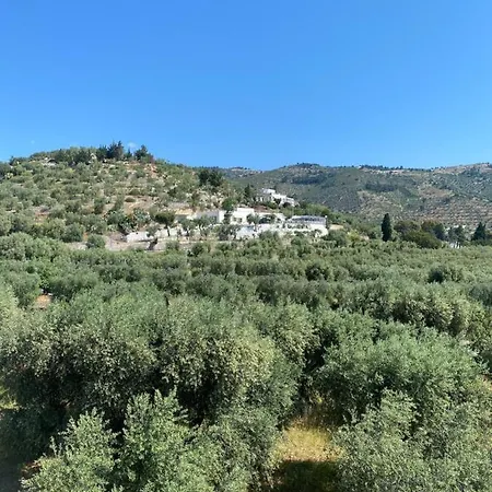 Casa Uliveto Appartement *