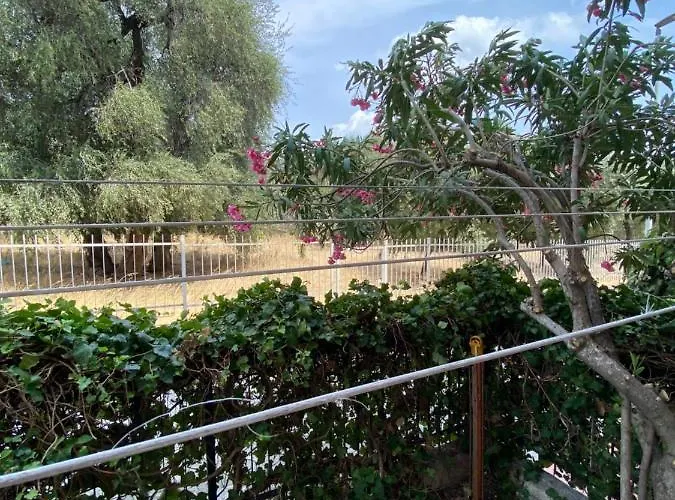 דירה Casa Uliveto מאטינאטה