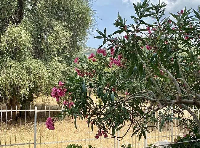 公寓 Casa Uliveto 马蒂纳塔