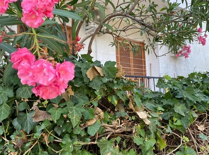 Casa Uliveto דירה